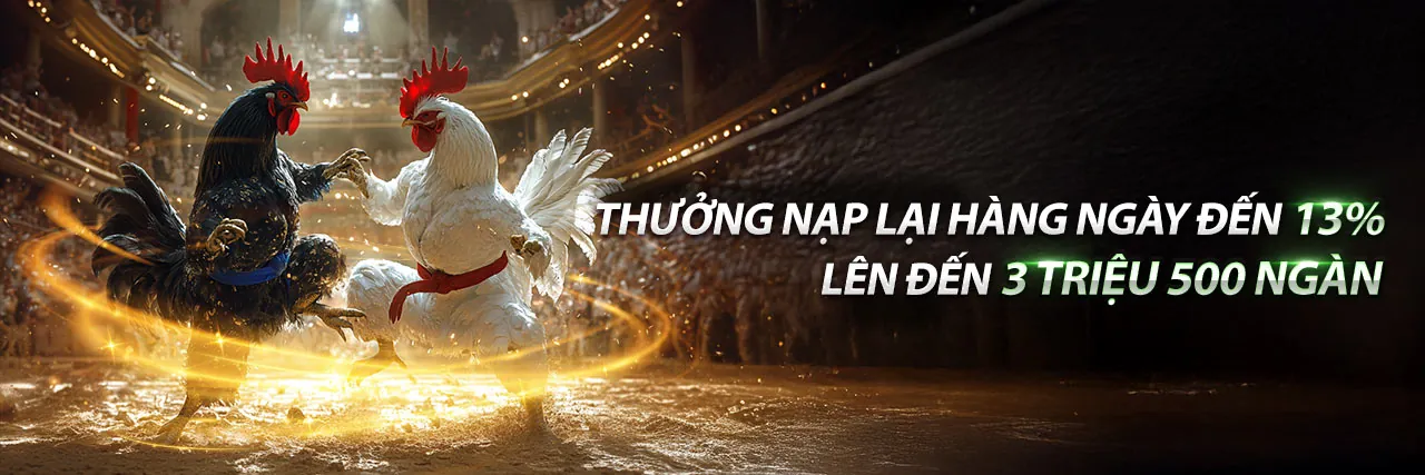 Đá Gà vipwin777 nhà cái: Trận đấu gà kịch tính